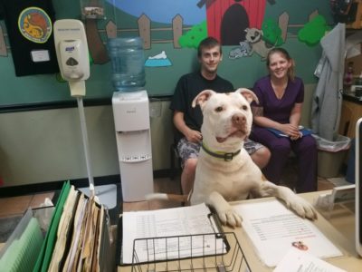 Camden shop animal shelter