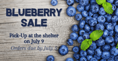 Blueberry Sale @ Voorhees Animal Orphanage | Voorhees Township | New Jersey | United States
