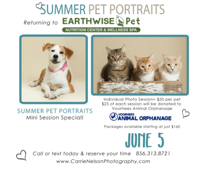 Summer Pet Portraits @ Earthwise Pet | Voorhees Township | New Jersey | United States