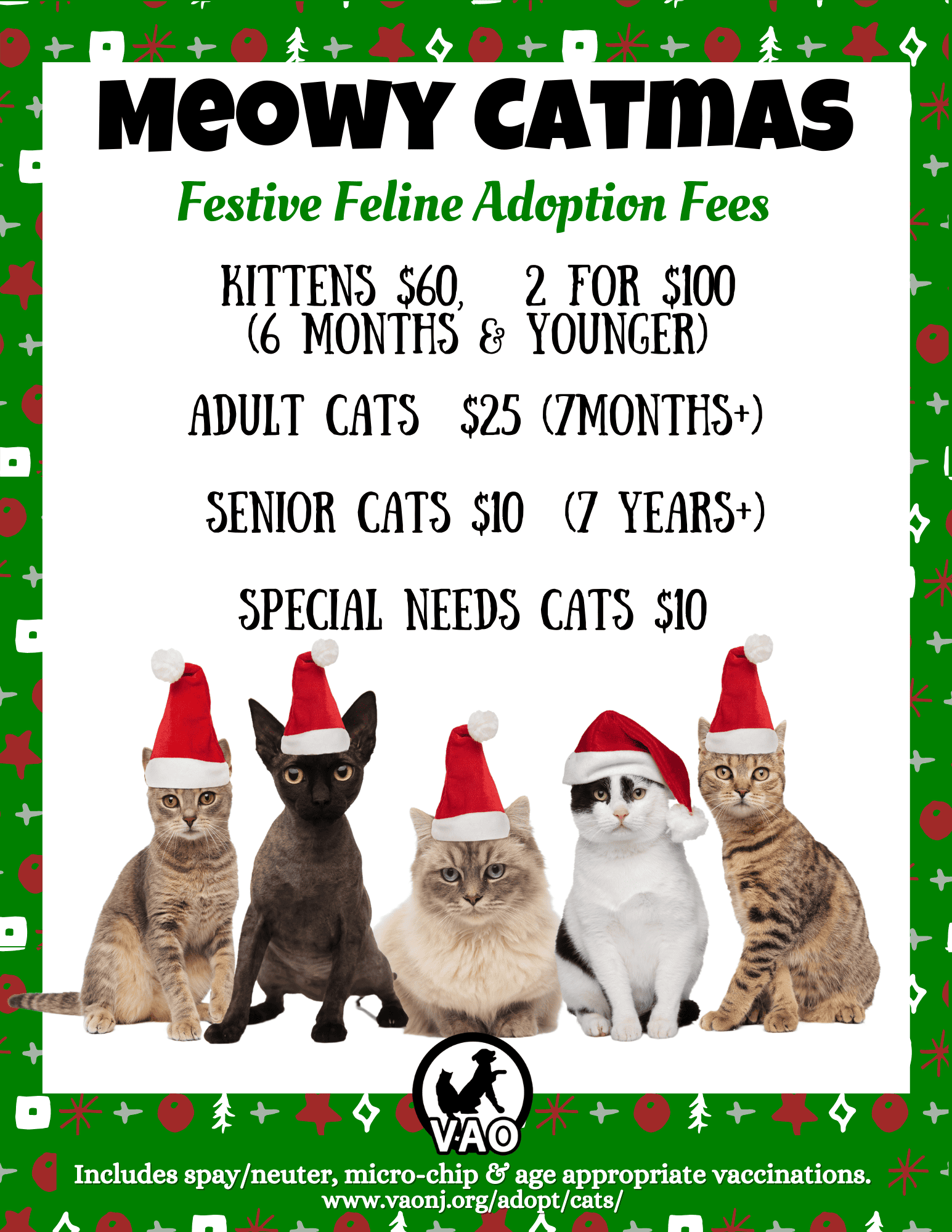 Special Needs Cats: Needing Rescued Or Adopted