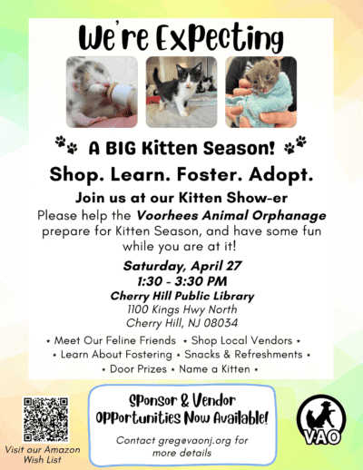 Kitten Show-er! @ Cherry Hill Public Library | Cherry Hill | New Jersey | United States