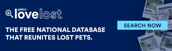 Enter a photo of your missing pet and search our national lost and found pet database to find them.